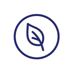 Sustainably sourced & Environmentally friendly